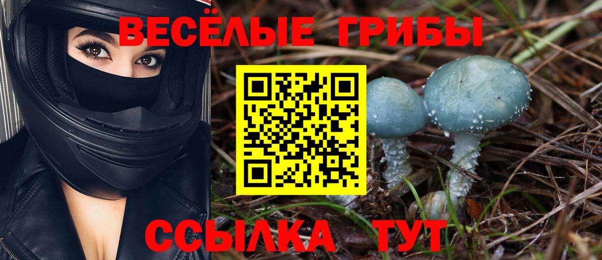 Богданович  Галлюциногенные грибы Magic Shrooms  где купить наркоту  Вход с VPN  Галлюциногенные грибы Psilocybe 